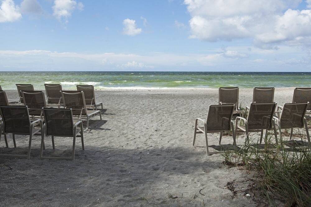 Photo of Others in Whitney Beach