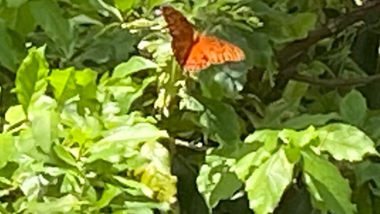 Photo of Outdoor in Central Beach