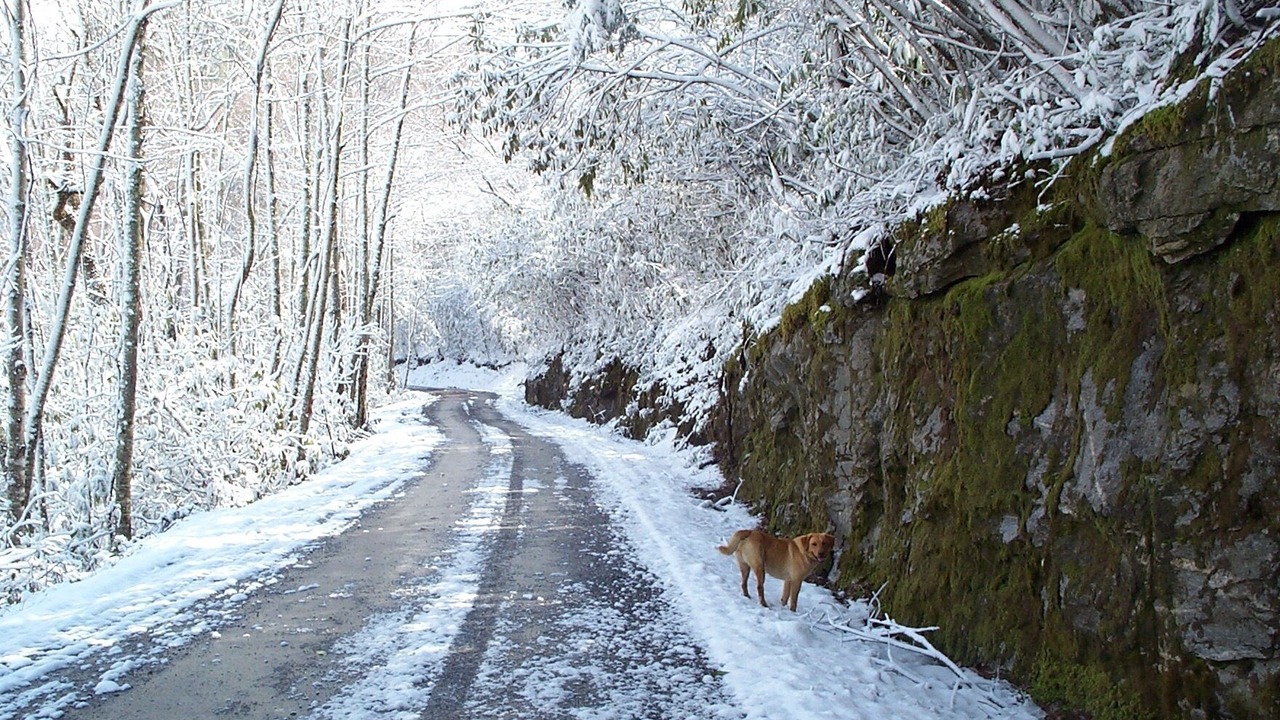 Photo of Outdoor in Tuckasegee
