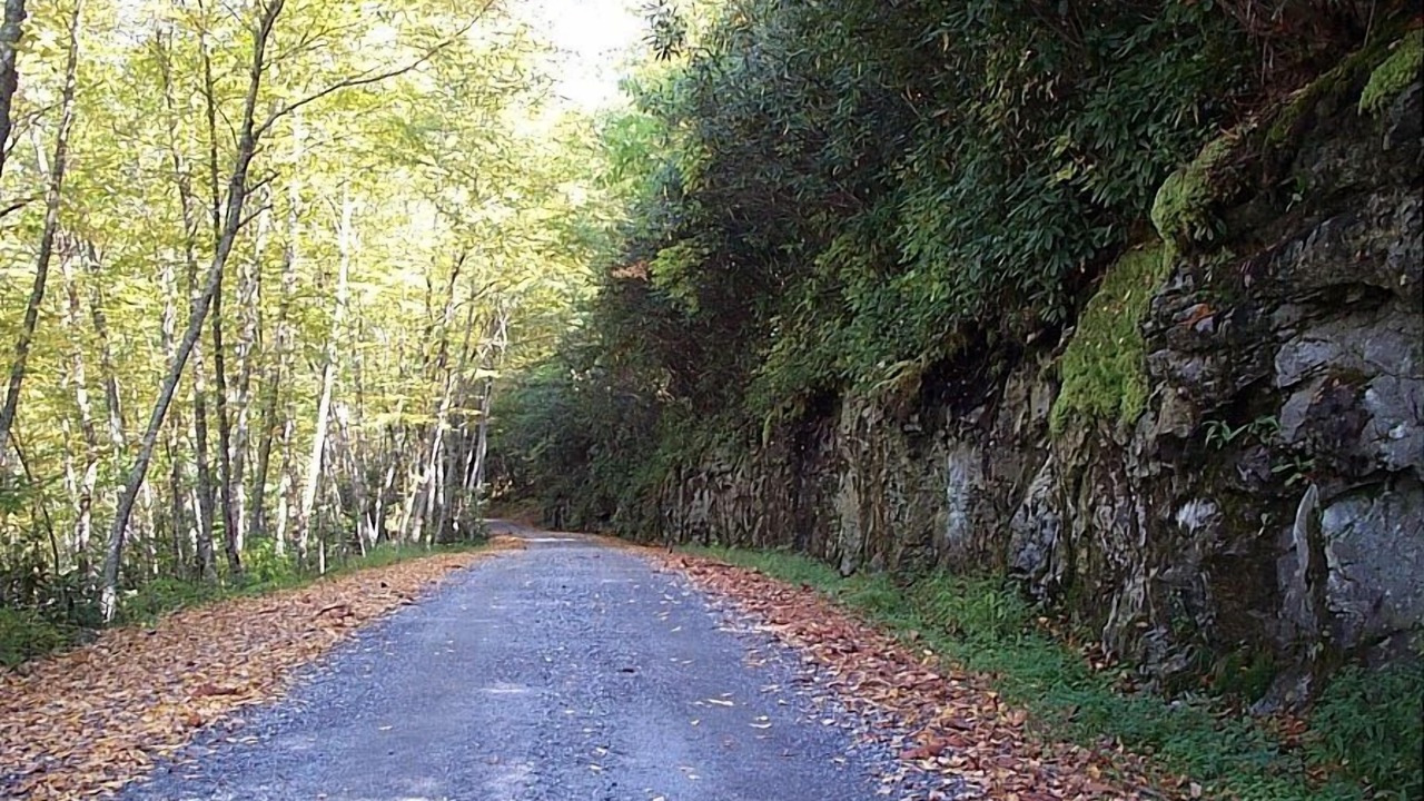Photo of Outdoor in Tuckasegee