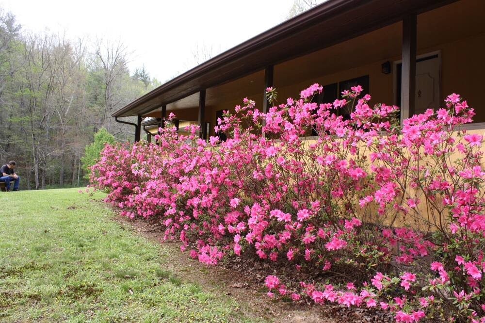 Photo of Outdoor in Robbinsville