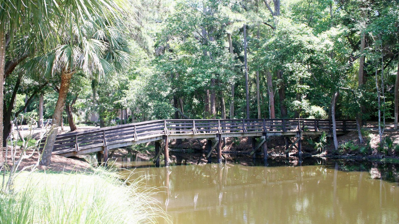 Photo of Outdoor in Sea Pines