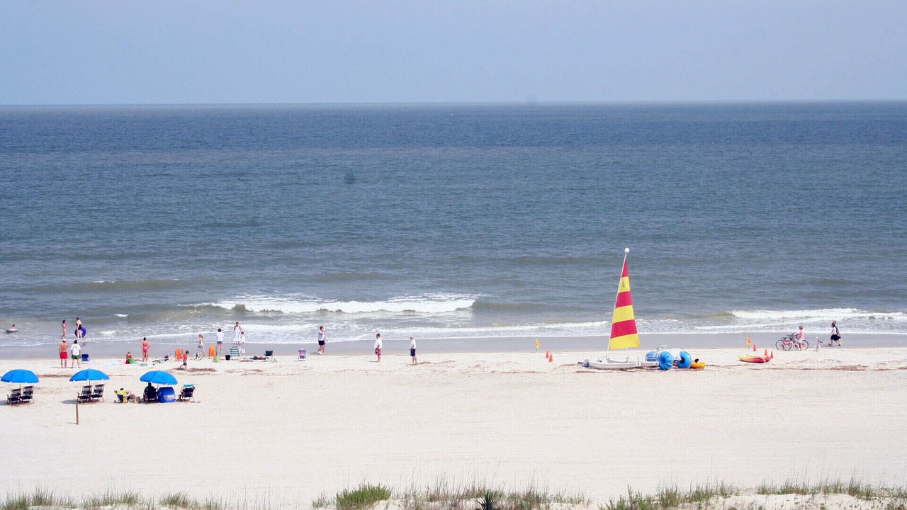 Photo of Others in Sea Pines