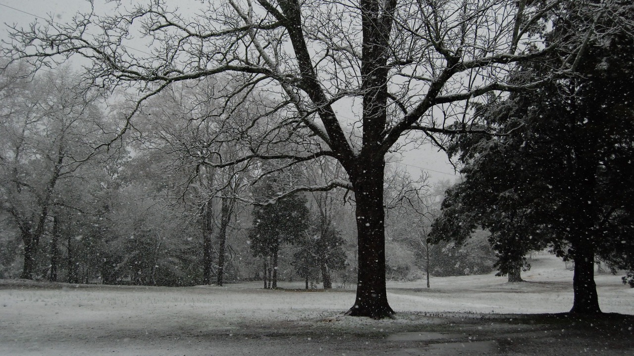 Photo of Outdoor in Athens