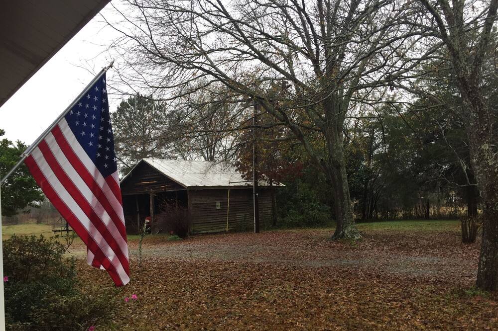 Photo of Others in Jenkinsville