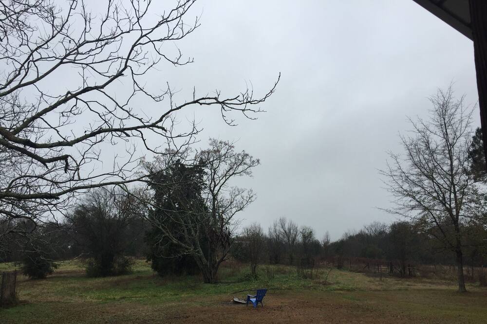 Photo of Outdoor in Jenkinsville
