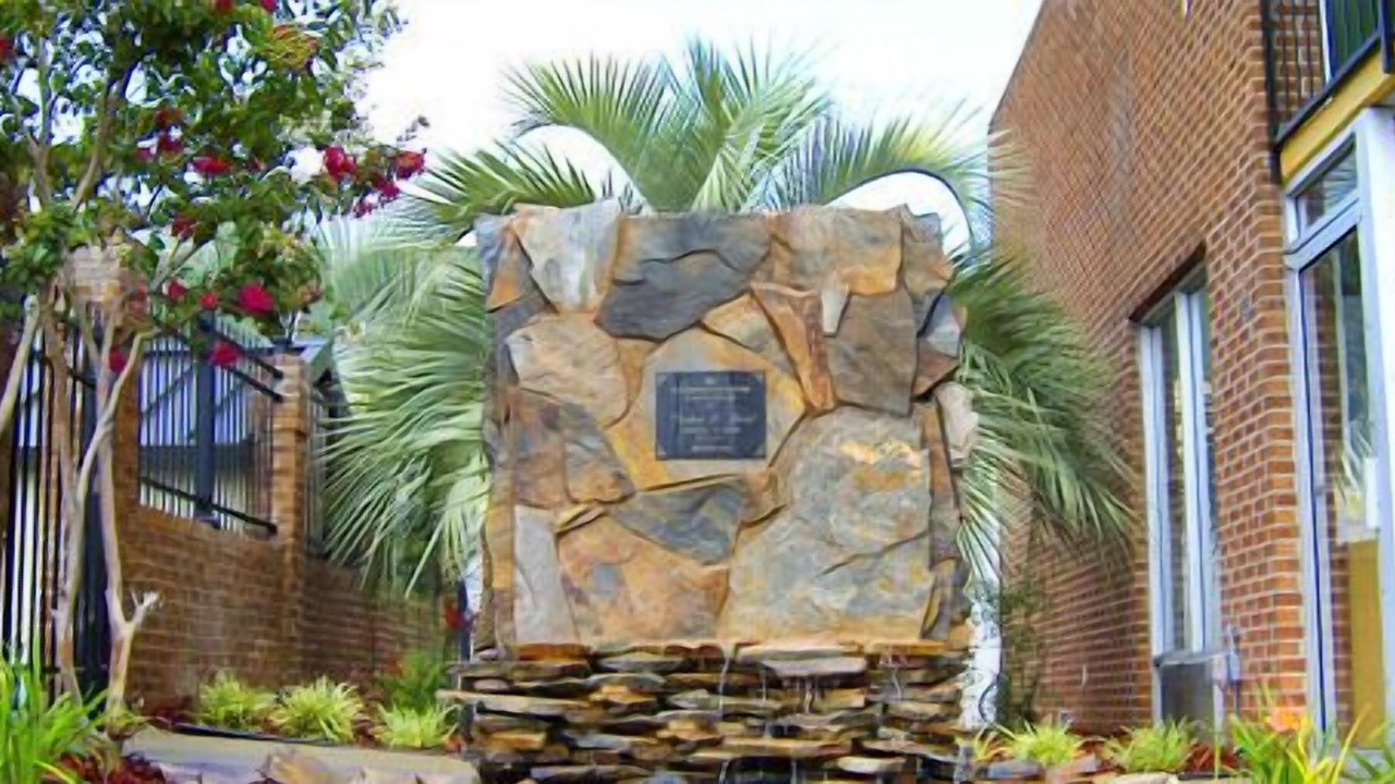 Photo of Outdoor in Sumter