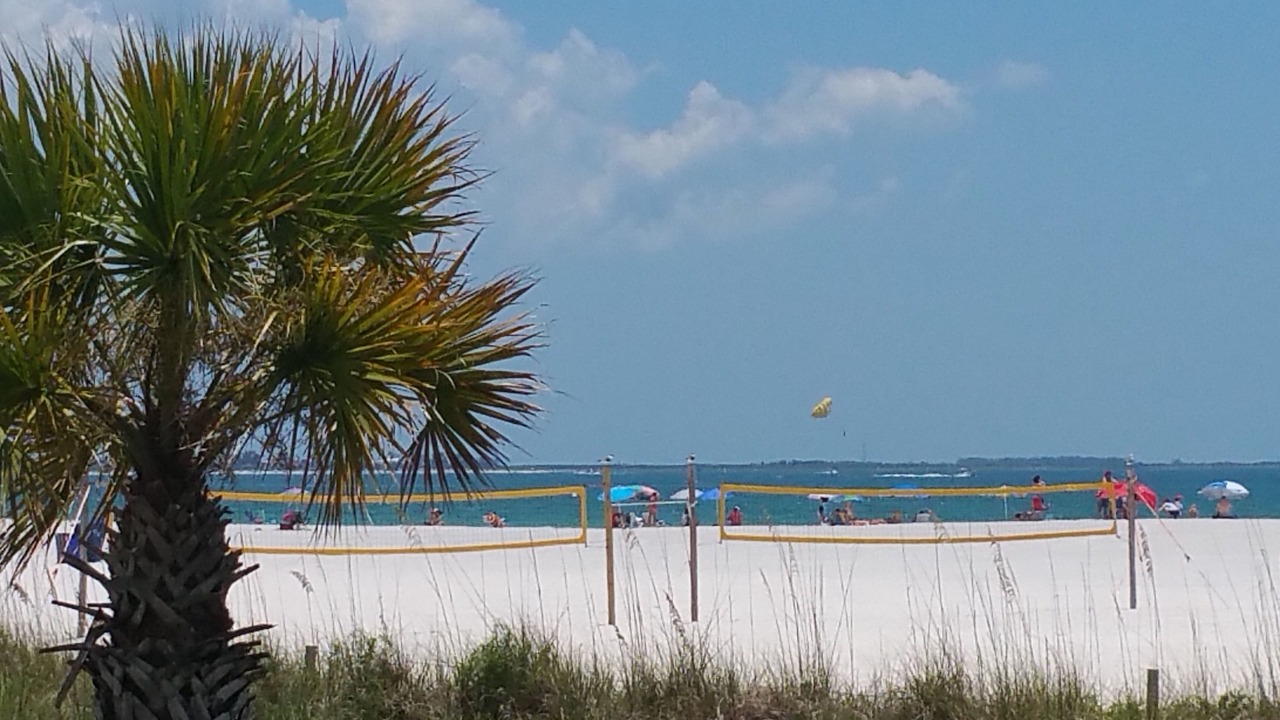 Photo of Others in St. Pete Beach