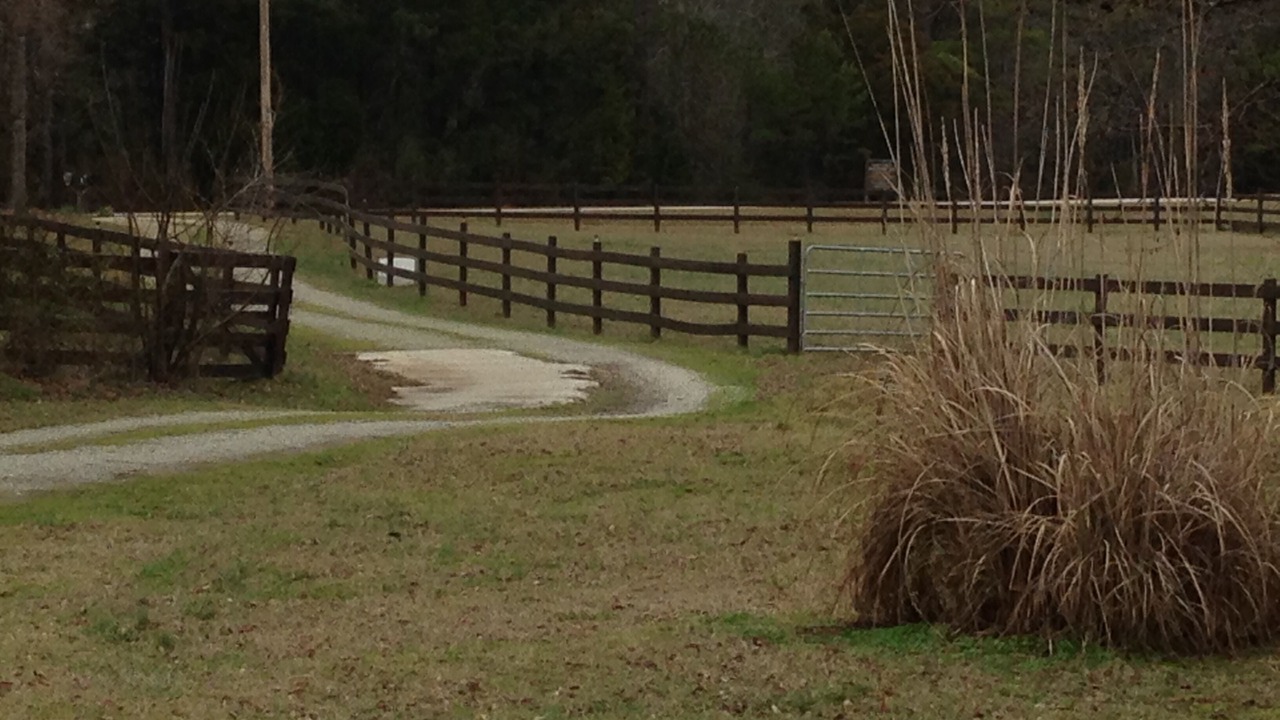 Photo of Outdoor in Elberton