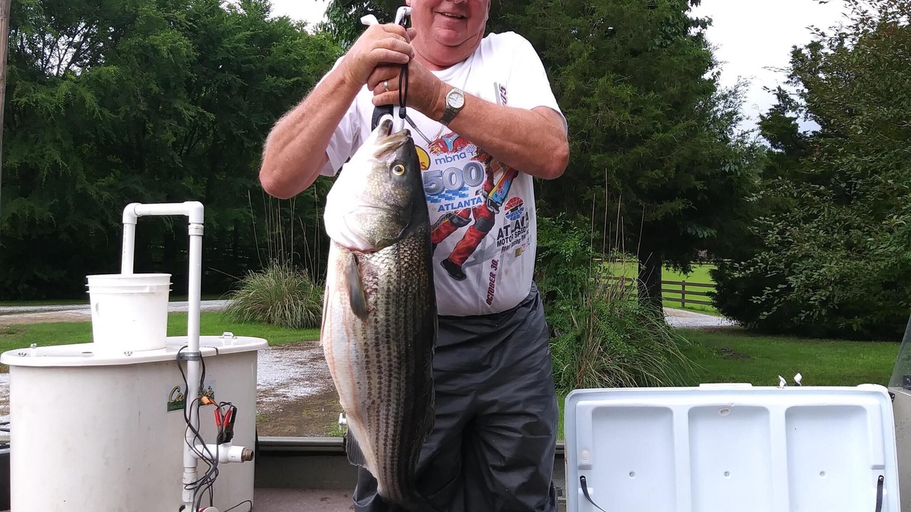 Photo of Others in Elberton