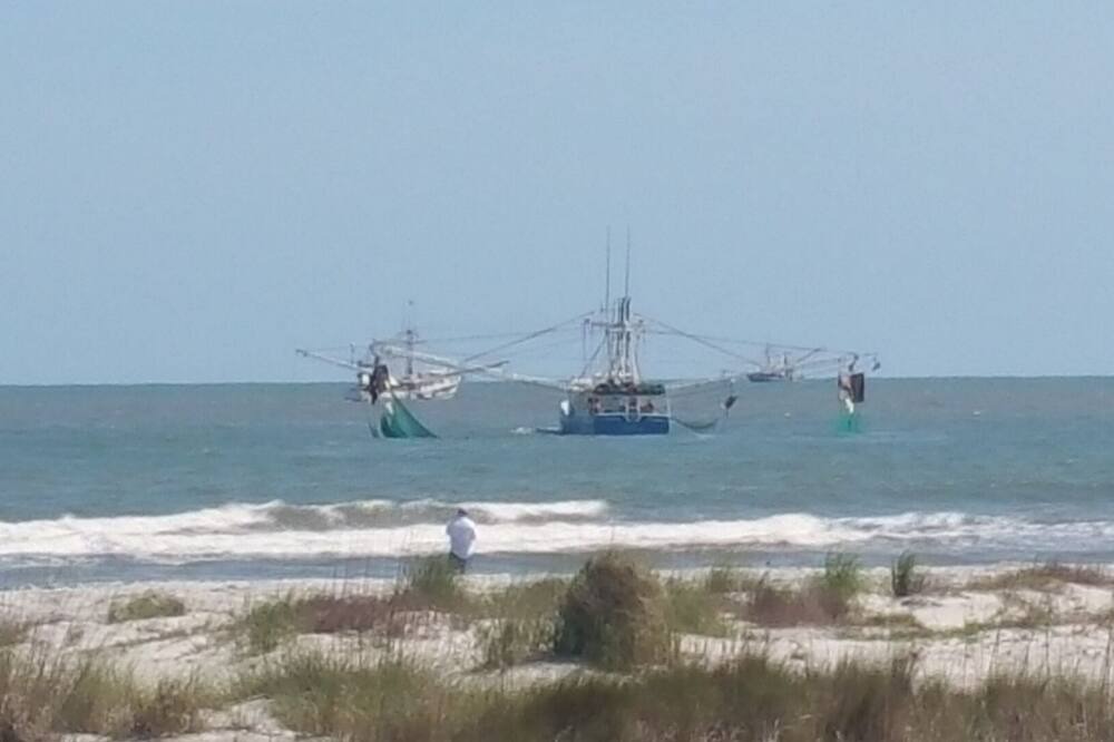 Photo of Others in Saint Helena Island