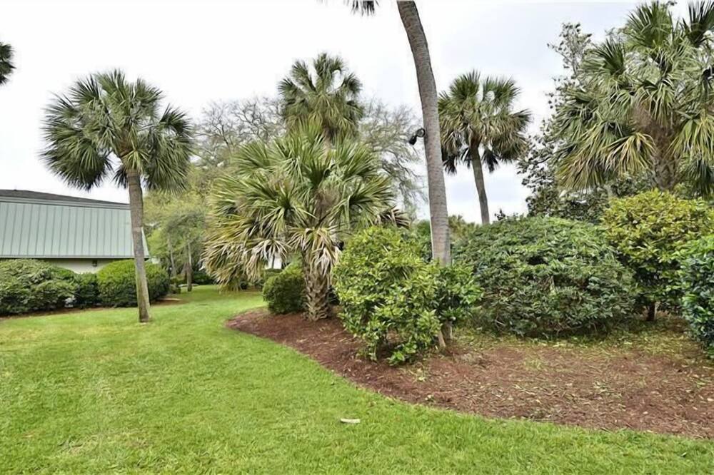 Photo of Others in Hilton Head Island