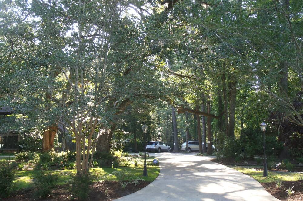 Photo of Others in Summerville