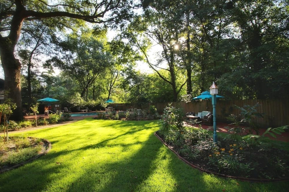 Photo of Outdoor in Summerville