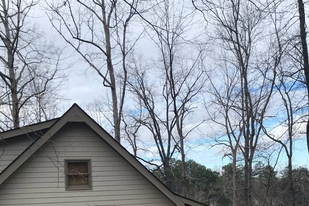 Photo of Others in Martin