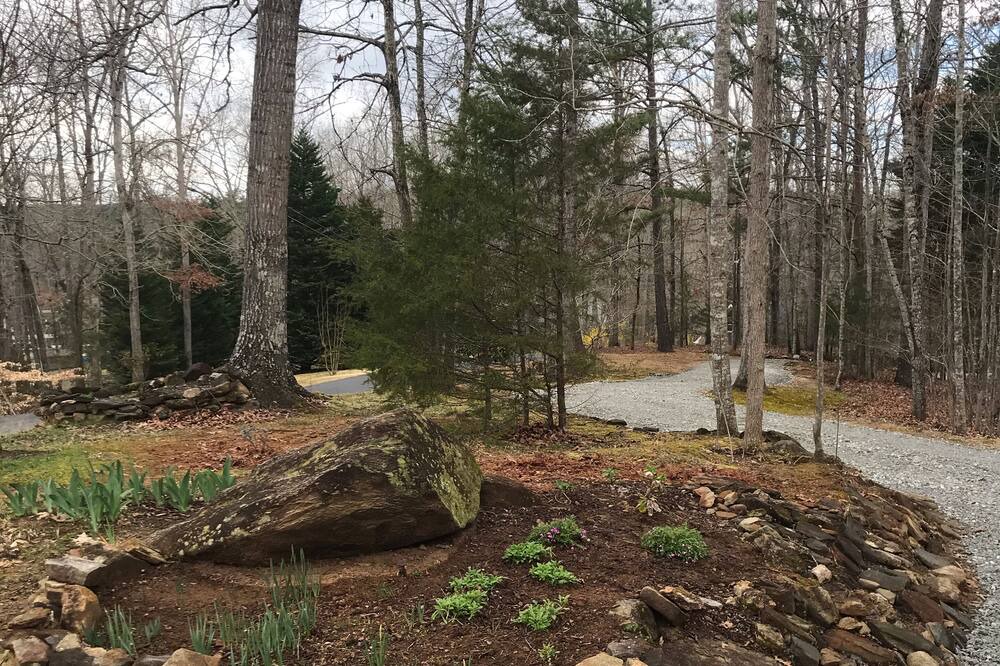 Photo of Outdoor in Martin