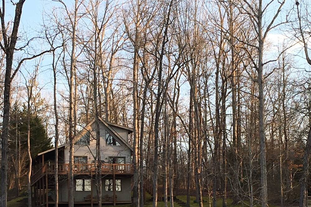 Photo of Others in Martin