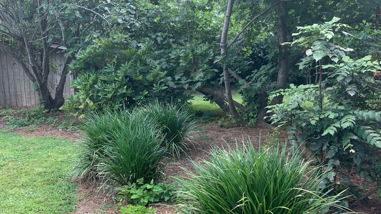 Photo of Outdoor in Statesboro