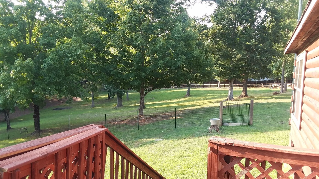 Photo of Outdoor in Albemarle