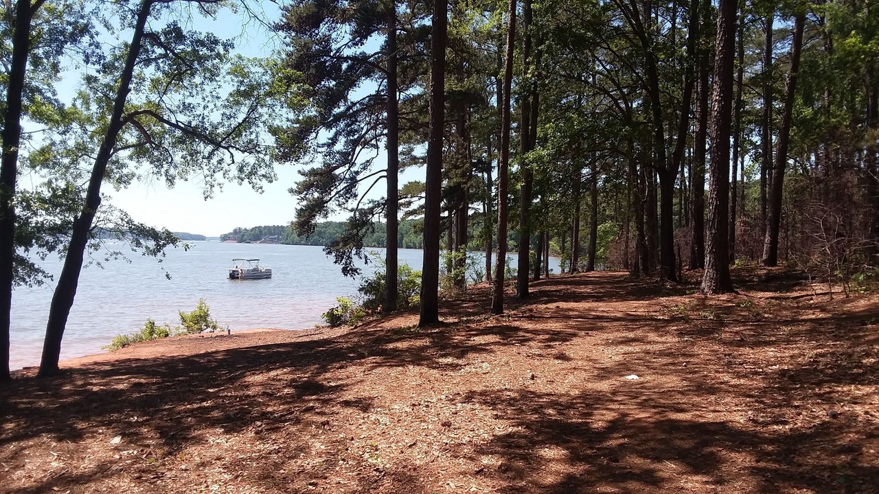 Photo of Outdoor in Albemarle