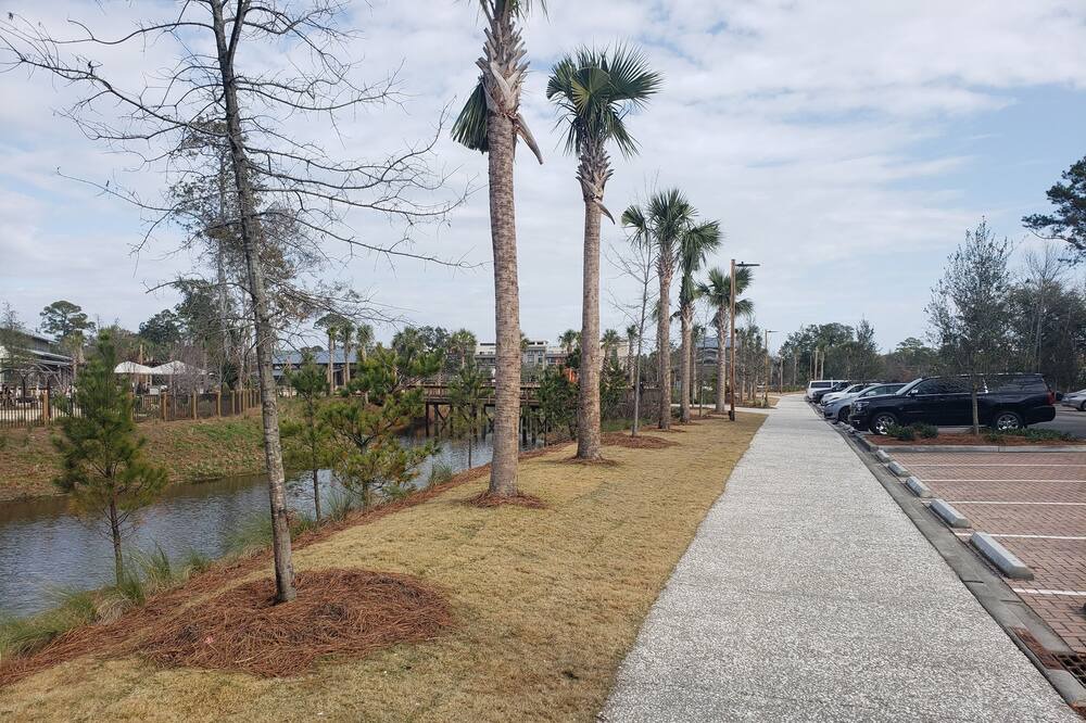 Photo of Outdoor in Hilton Head Island