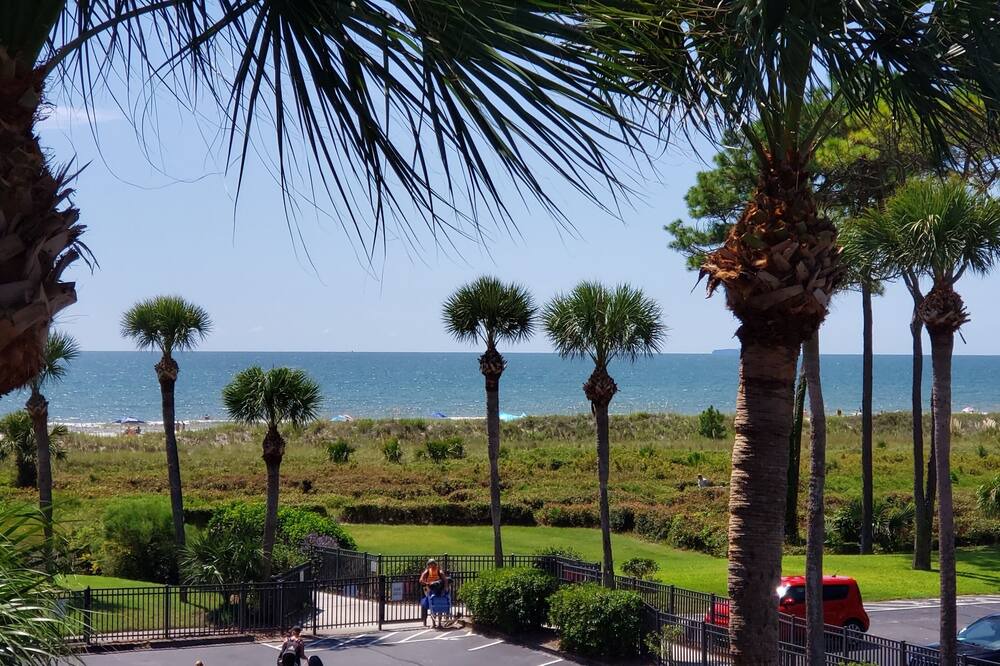 Photo of Others in Hilton Head Island