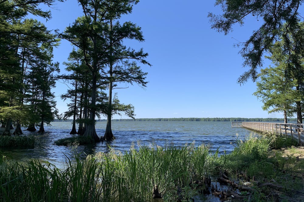 Photo of Outdoor in Wynnburg
