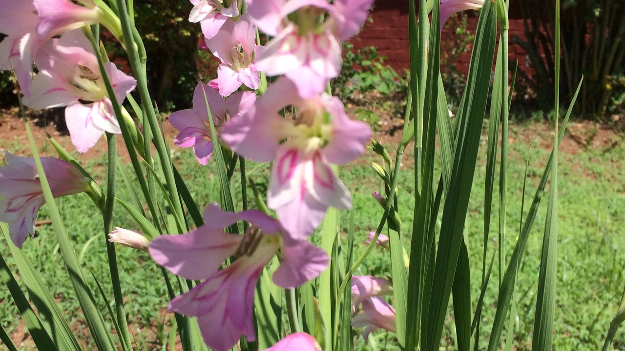 Photo of Outdoor in Wellford