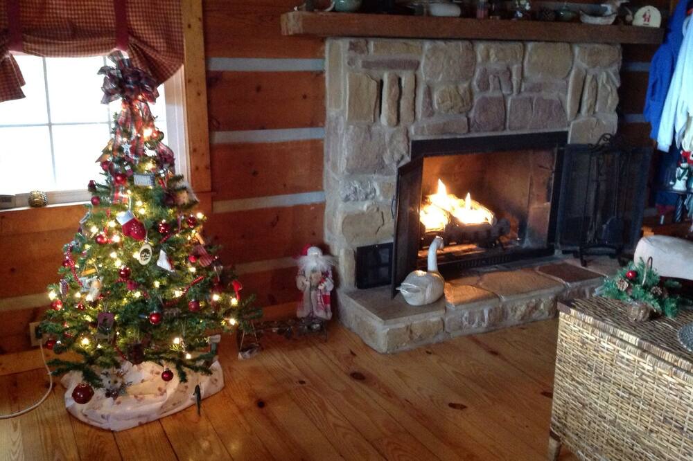 Photo of Livingroom in Chapin