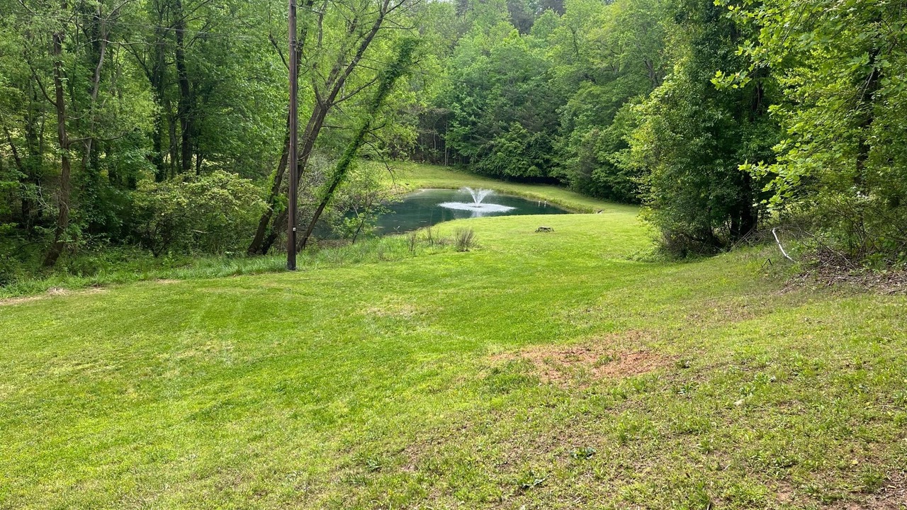Photo of Outdoor in Lula