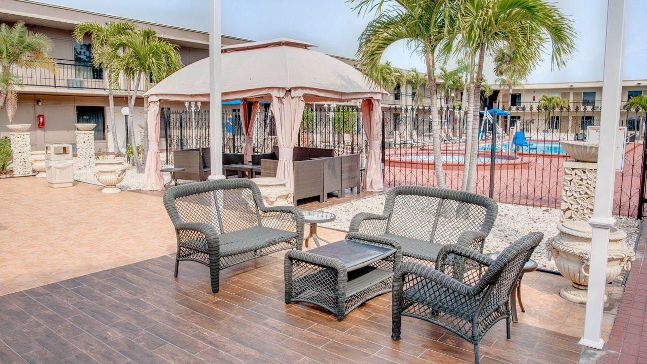Photo of Outdoor in St. Petersburg - Clearwater