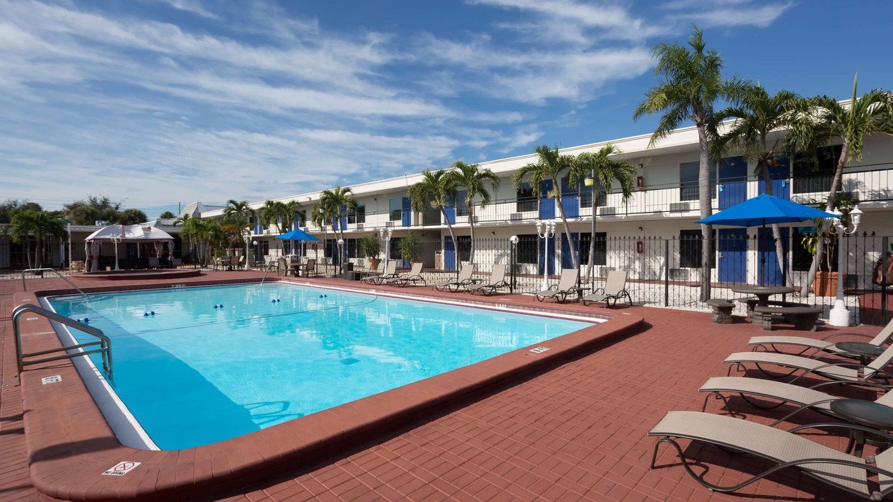 Photo of Outdoor in St. Petersburg - Clearwater