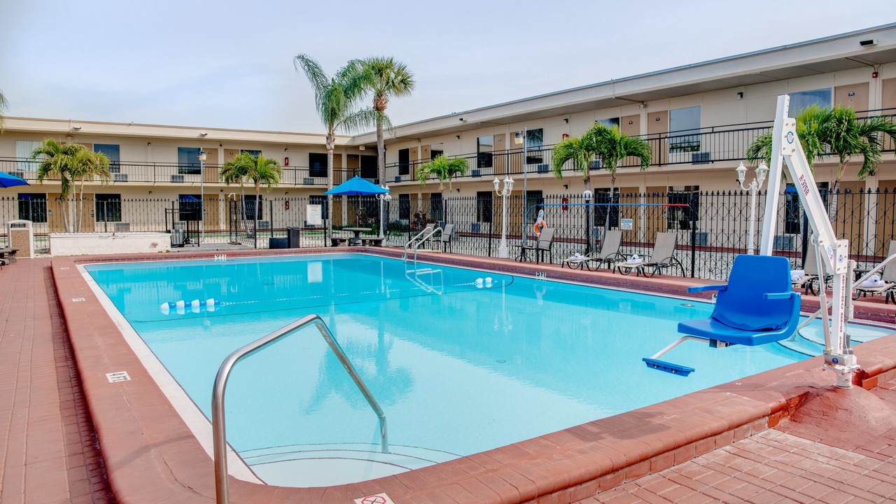Photo of Outdoor in St. Petersburg - Clearwater