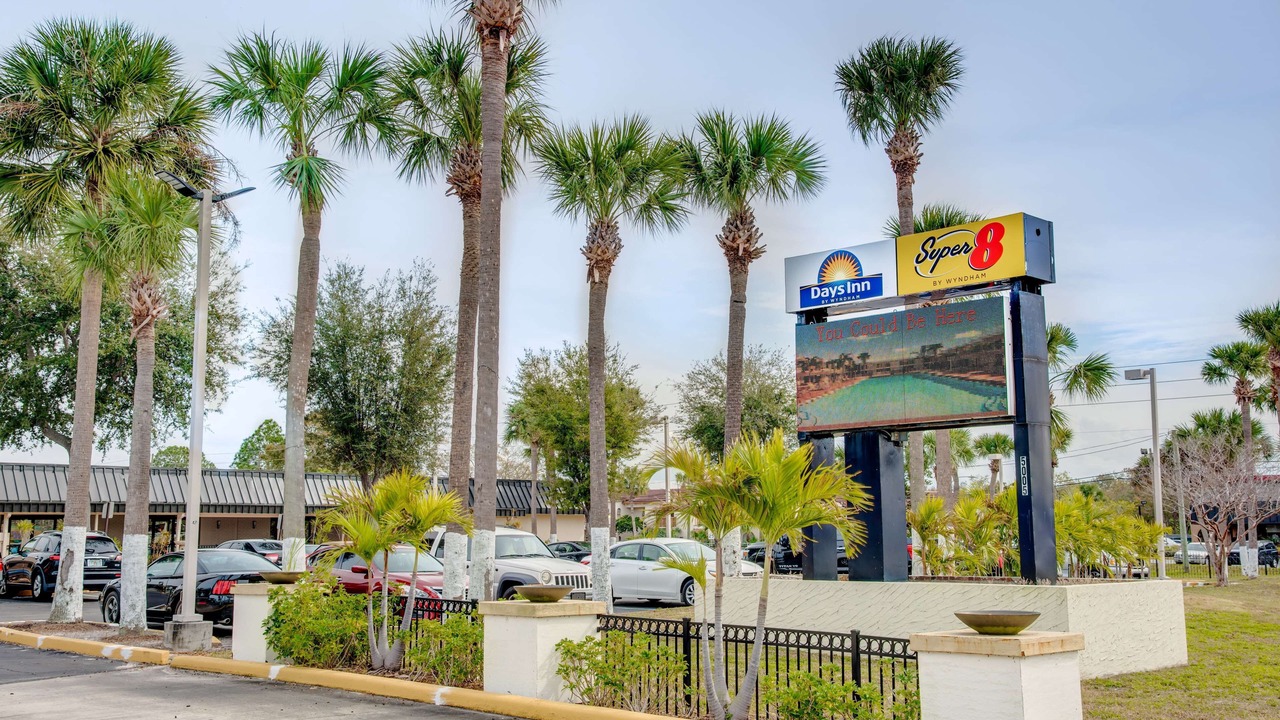 Photo of Outdoor in St. Petersburg - Clearwater