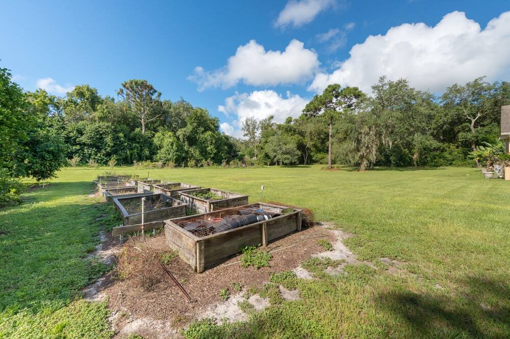 Photo of Outdoor in Winter Springs