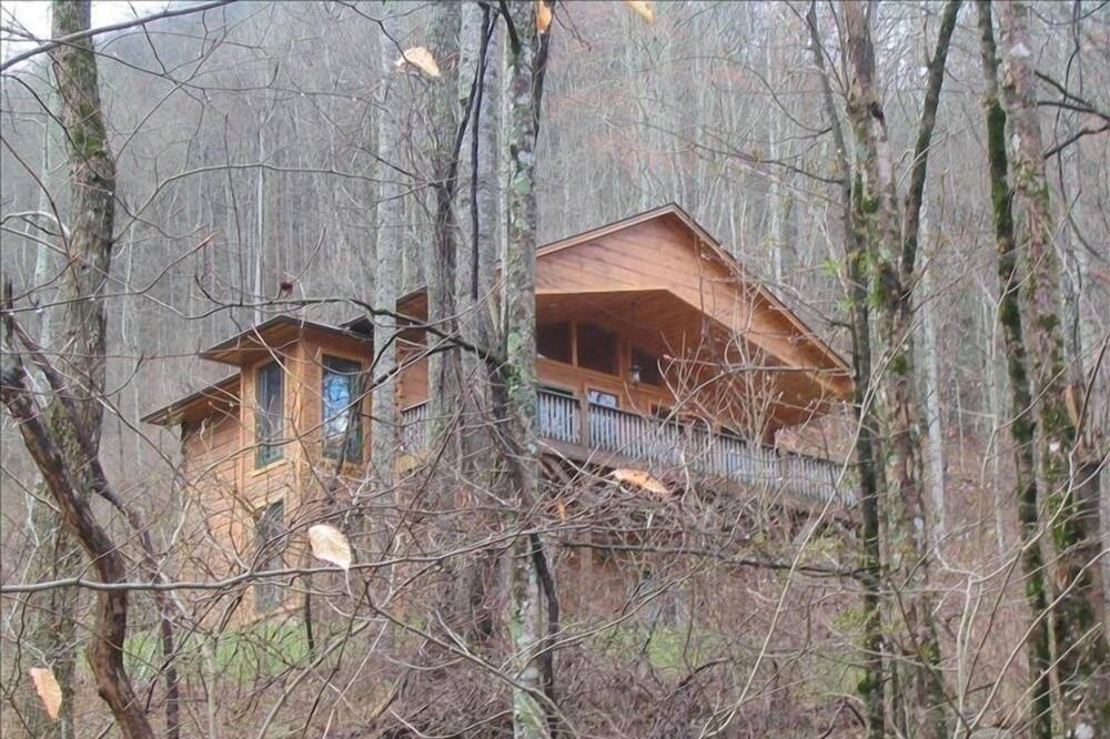 Photo of Others in Bryson City
