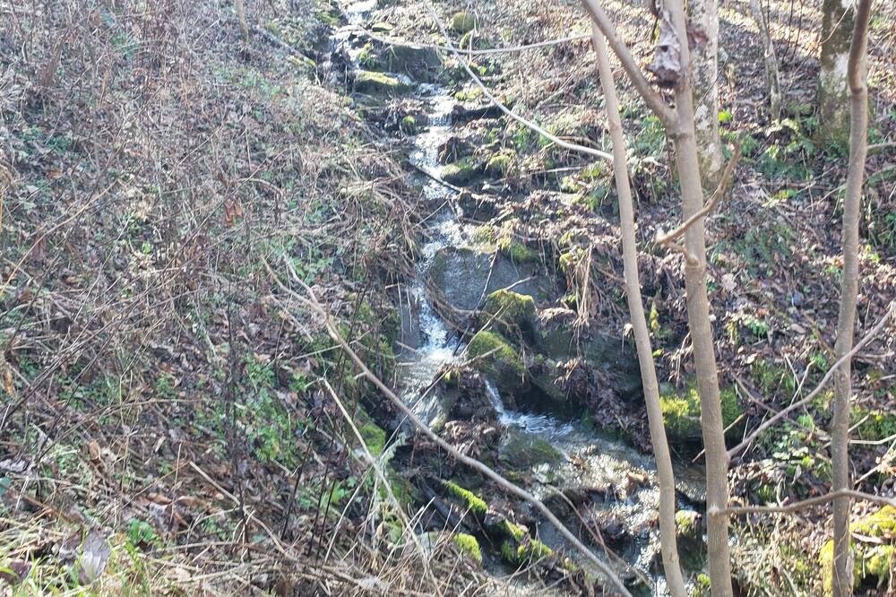Photo of Outdoor in Bryson City