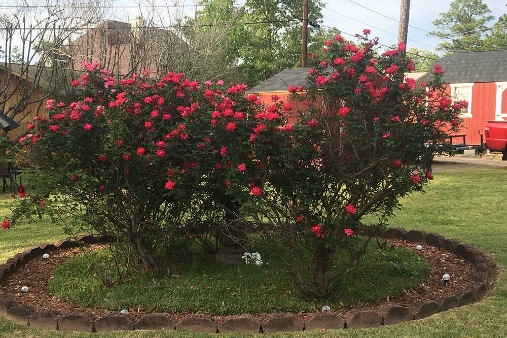 Photo of Outdoor in Columbia