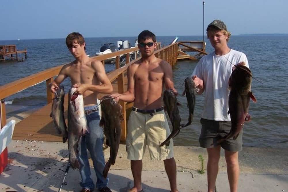 Photo of Others in Russellville