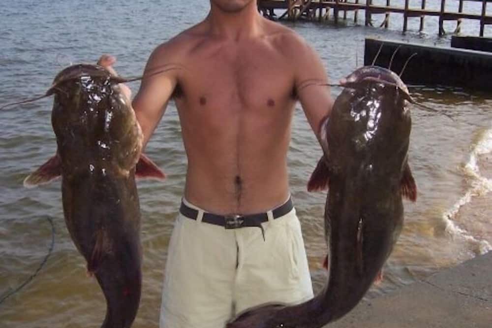 Photo of Others in Russellville