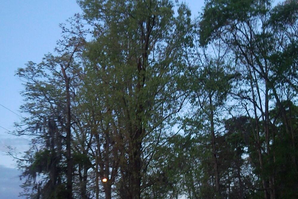 Photo of Outdoor in Santee