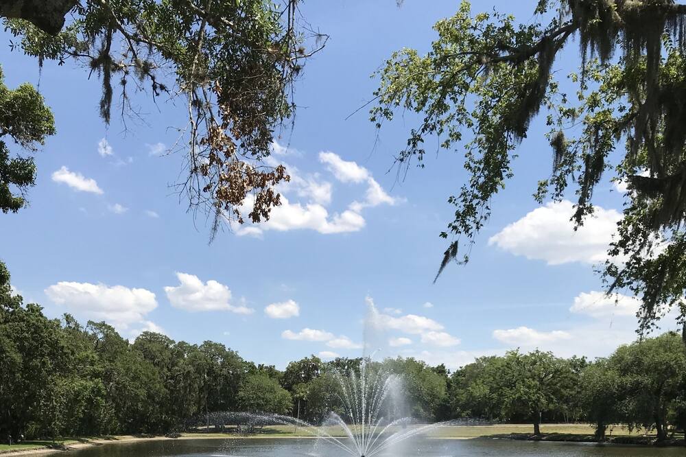 Photo of Outdoor in The Meadows