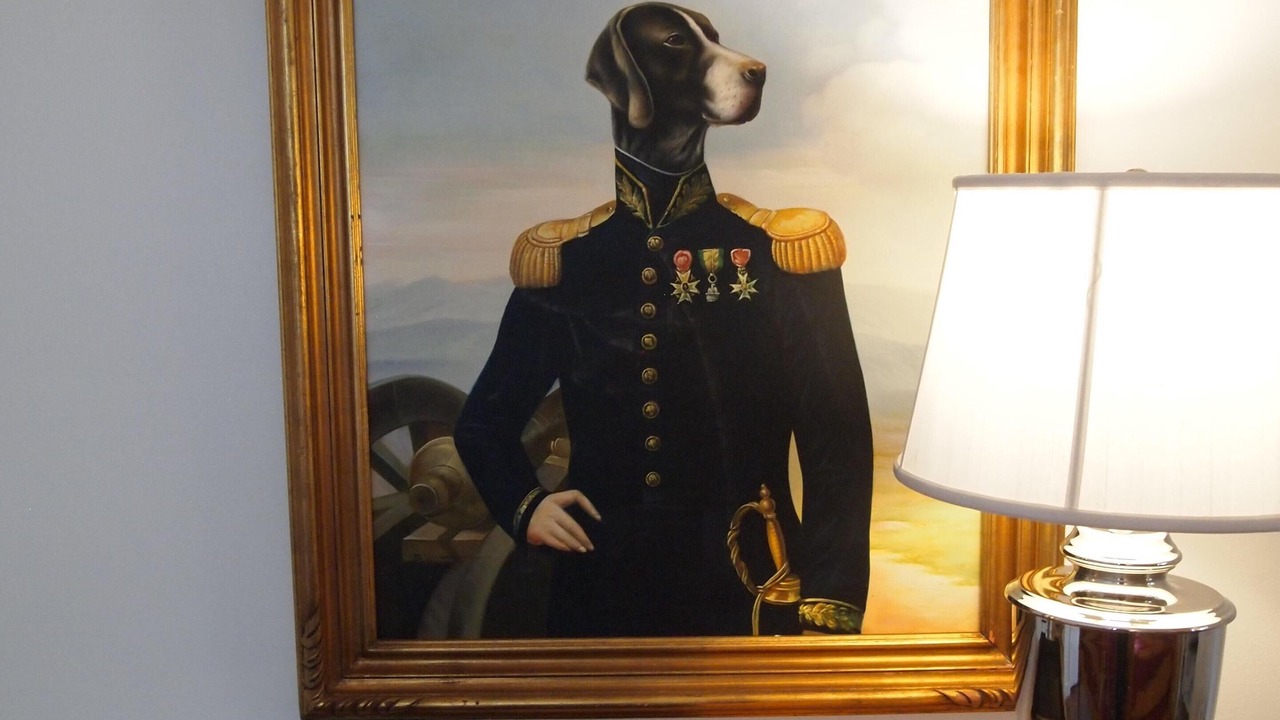 Photo of Others in Aiken