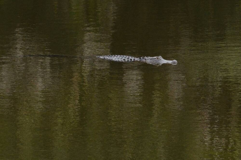 Photo of Others in North Port