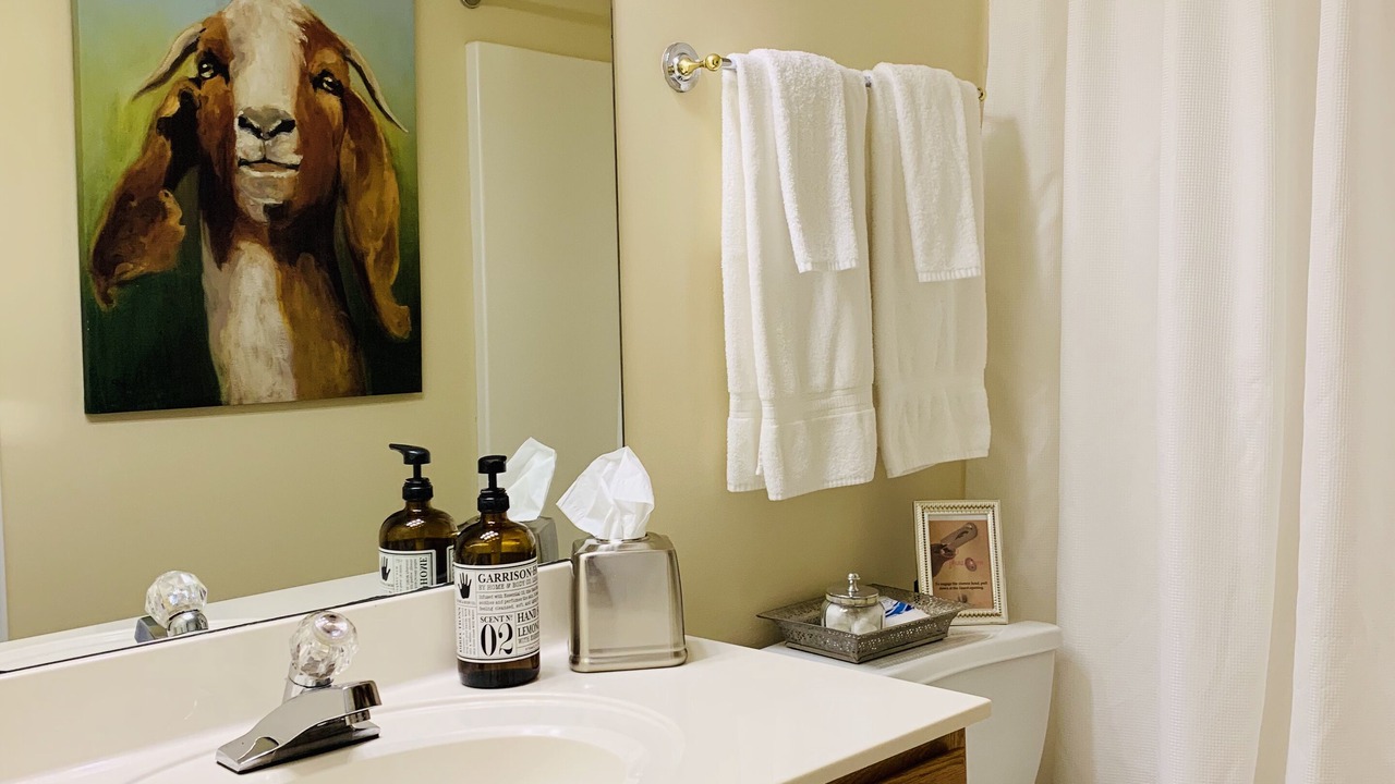 Photo of Bathroom in Athens