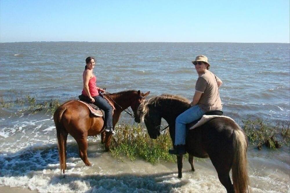 Photo of Others in Saint Helena Island