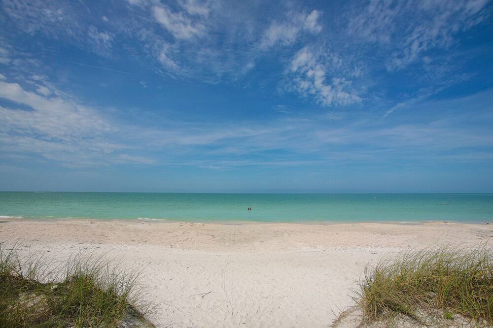 Photo of Others in Sarasota