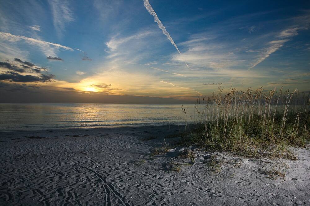 Photo of Others in Sarasota