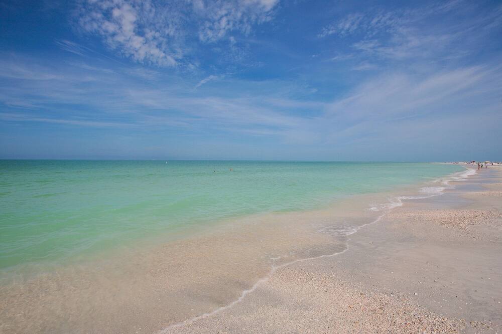 Photo of Others in Sarasota
