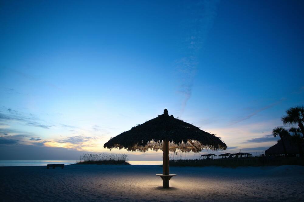 Photo of Others in Sarasota